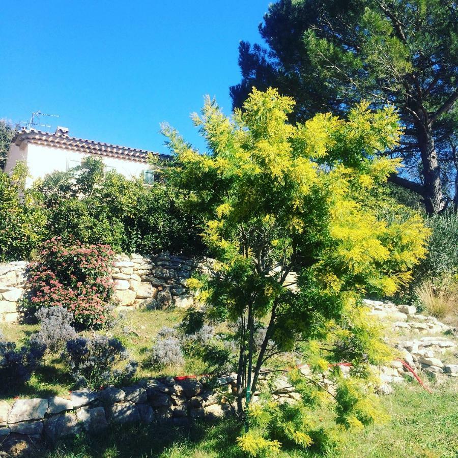 L'Oustaou B&B Piscine & Spa 伊索勒河畔贝斯 外观 照片